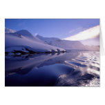 ice world  cards