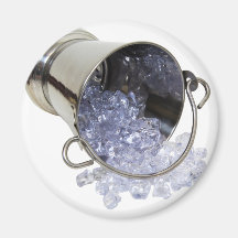 IceBucket060709 Refrigerator Magnet