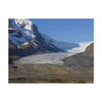 Icefields Parkway Glaciers Snow Canada Postcards