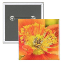Iceland Poppy Buttons