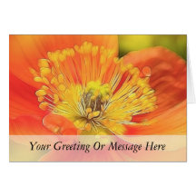Iceland Poppy Cards