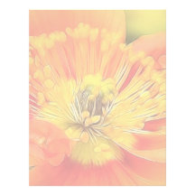Iceland Poppy Custom Letterhead