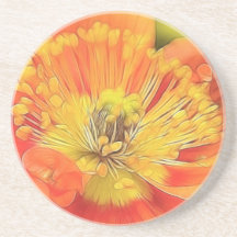 Iceland Poppy Drink Coasters