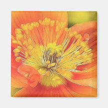 Iceland Poppy Fridge Magnets