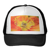 Iceland Poppy Hat