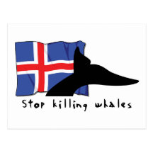 Iceland Stop Killing Whales Post Card