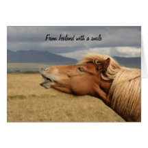 Icelandic horse Card