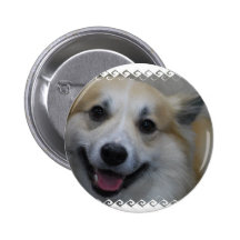 icelandic-sheepdog-2.jpg button