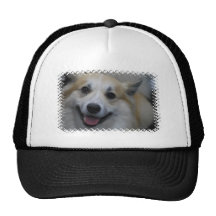 icelandic-sheepdog-2.jpg mesh hats