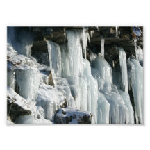 Icesickles 5x7 Photograph