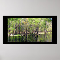 Ichetucknee River Print