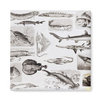 Ichthyology- Elasmobranch, Ganoid magnets