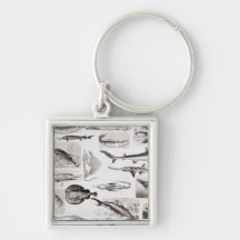 Ichthyology- Elasmobranch, Ganoid Keychains