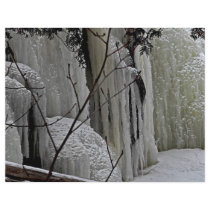 Icicle Falls