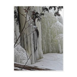 Icicle Falls