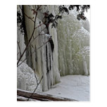 Icicle Falls Postcards