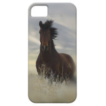 Iconic iPhone 5 Cases