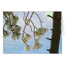 Icy Needles Card