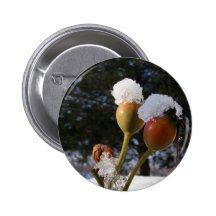 Icy Rose Hips ~ button