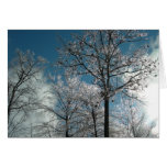 Icy Trees Greeting Card