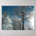 Icy Trees Poster