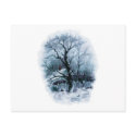 Icy Winter Scene postcards