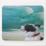 icybluebordercollie mouse mats