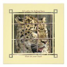 I'd Rather Be Behind Bars Custom Announcements
