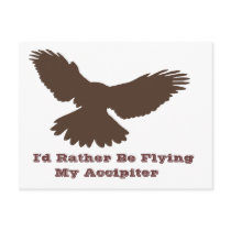 I'd Rather be Flying Postcard