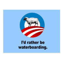 I'd rather be waterboarding postcard
