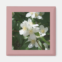 Idaho State Flower, the Syringa Magnet