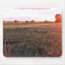 Idaho Wheat Field Mousepad