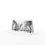 Idaho's Capitol Under Snow Greeting Card