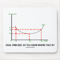 Ideal Firm Size: Do You Know Where That Is?