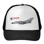 Identification NTM 2008 de tornade d'AG 51 Immelma Casquettes De Camionneur