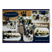 Iditarod 2010 card