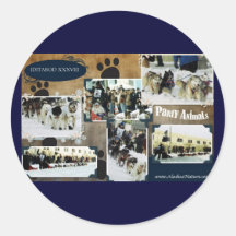 Iditarod 2010 round sticker