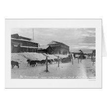 Iditarod Alaska Birdseye 1914 Cards
