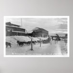 Iditarod Alaska Birdseye 1914 Print