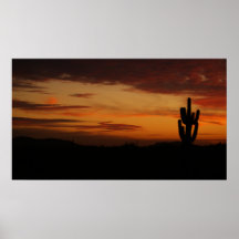 IDKP Arizona cactus in the sunset Print