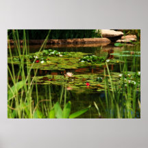 Idyllic Afternoon Print