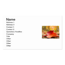 If a Leaf Falls in a Forest... Business Card Template