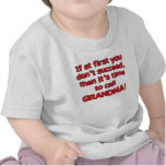 if at first you don't succeed, call grandma t shirt
