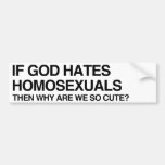 IF GOD HATES HOMOSEXUALS - .png Bumper Stickers
