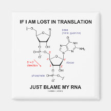 If I Am Lost In Translation Just Blame My RNA Magnets