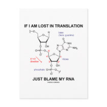 If I Am Lost In Translation Just Blame My RNA