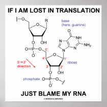 If I Am Lost In Translation Just Blame My RNA