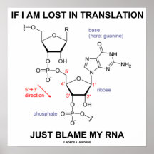 If I Am Lost In Translation Just Blame My RNA Poster