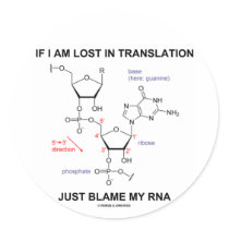 If I Am Lost In Translation Just Blame My RNA