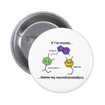 If I'm Moody... Pinback Buttons